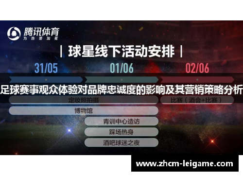 足球赛事观众体验对品牌忠诚度的影响及其营销策略分析