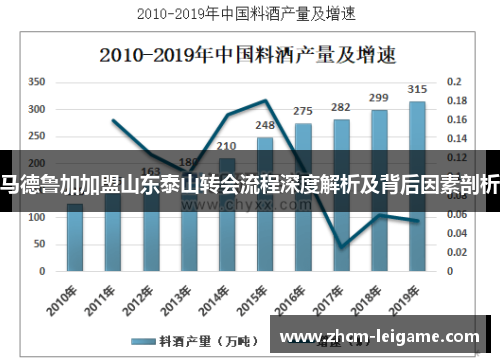 马德鲁加加盟山东泰山转会流程深度解析及背后因素剖析