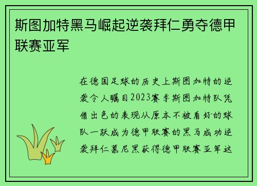 斯图加特黑马崛起逆袭拜仁勇夺德甲联赛亚军